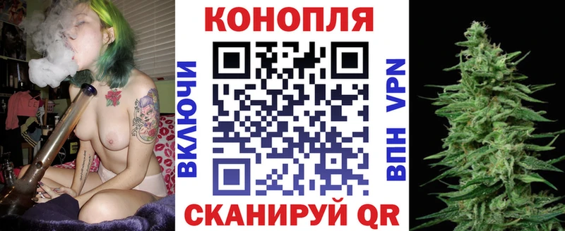 Бошки Шишки сатива Щучье